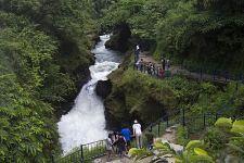 Devis Fall