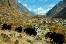 Langtang Village