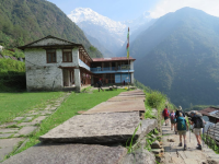 Annapurna Base Camp to Bamboo