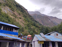 Annapurna Base Camp to Bamboo