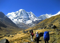 Annapurna Base Camp to Bamboo